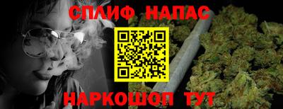 гидропоника Камышлов
