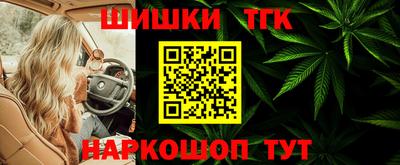 гидропоника Камышлов