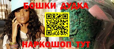 гидропоника Камышлов