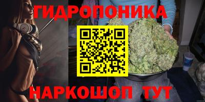 jwh Кандалакша