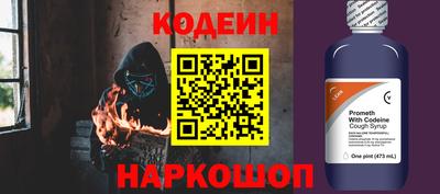 гидропоника Камышлов