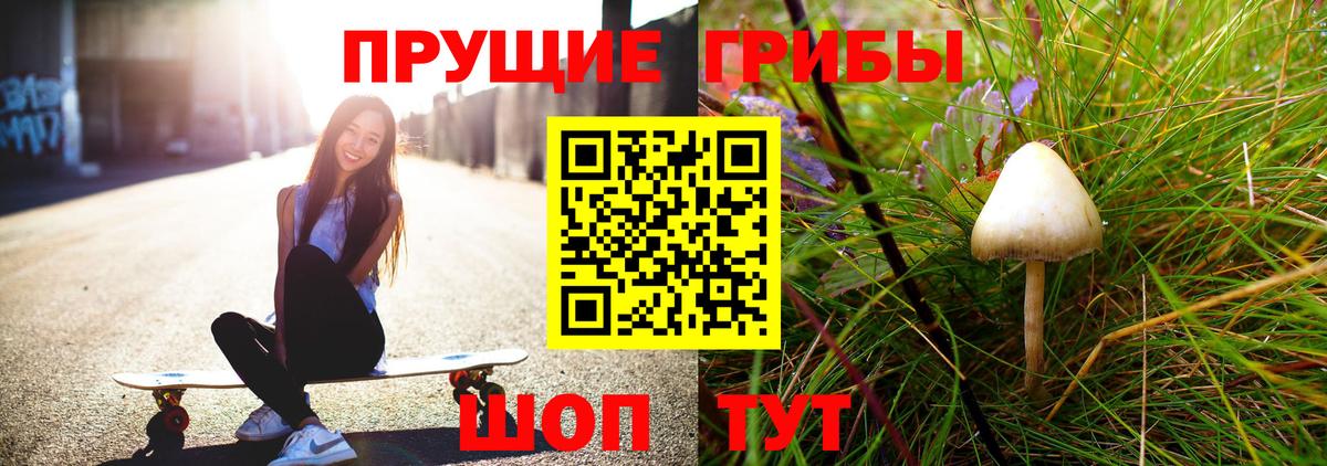 Кузнецк  Псилоцибиновые грибы MAGIC MUSHROOMS  Вход с VPN  Псилоцибиновые грибы Magic Shrooms 