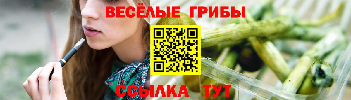 Псилоцибиновые грибы мицелий Кузнецк